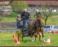 1POSIEUX 0591